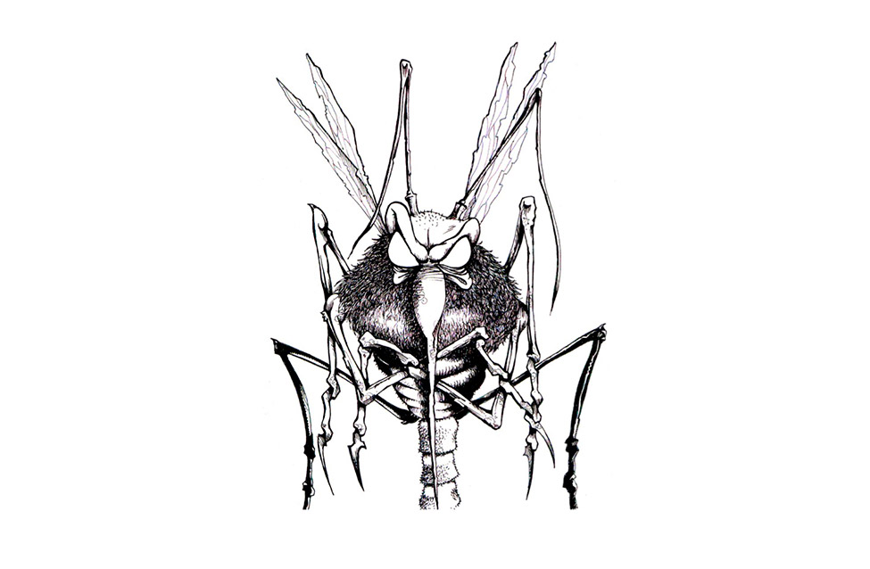 Mosquito. Ilustración por encargo.